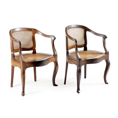 234 - A PAIR OF CAPE STINKWOOD TUB CHAIRS, 19TH CENTURY