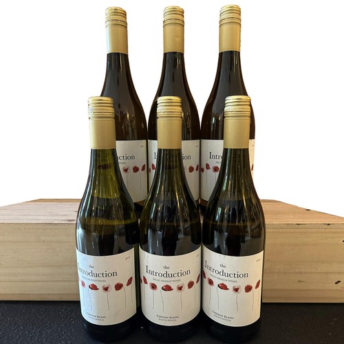 736 - 2013 Miles Mossop The Introduction Chenin Blanc (750ml) x 6 bottles - Provenance: Restaurant Mosaic ... 