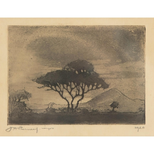 1029 - Jacob Hendrik Pierneef (South African 1886 - 1957) TREE, SOUTH WEST AFRICA