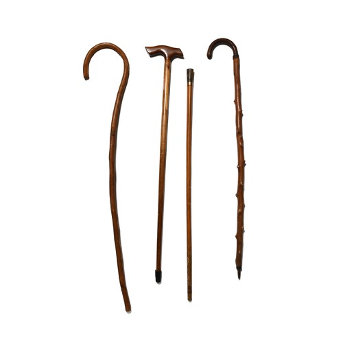 392 - FOUR WALKING STICKS