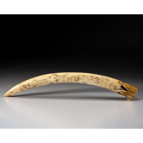 473 - AN AMERICAN SCRIMSHAW WALRUS TUSK