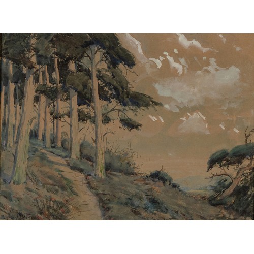 547 - Sydney Carter (South African 1874 - 1945) PATH LEADING INTO THE FOREST