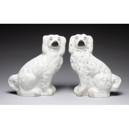 584 - A PAIR OF STAFFORDSHIRE WHITE CAVALIER KING CHARLES SPANIELS