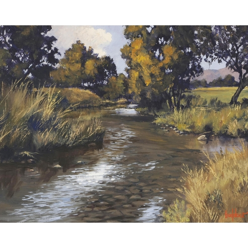 552 - Ted Hoefsloot (South African 1930 - 2013) STREAM IN THE S. DRAKENSBERG