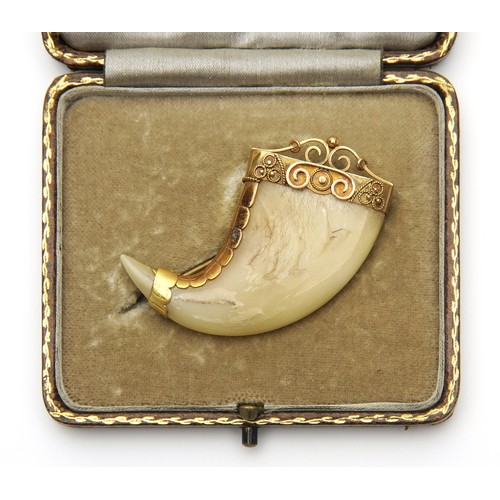 769 - A LION'S CLAW BROOCH