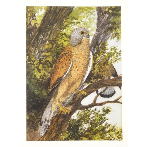 77 - THE BIRDS OF SOUTH AFRICA PAINTED BY THOMAS BAINES (LIMITED EDITION PRESENTATION VOLUME) by Tho... 