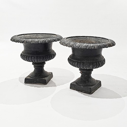 969 - A PAIR OF BLACK-PAINTED CAST-IRON GARDEN POTS