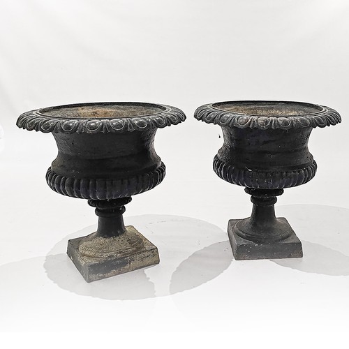 970 - A PAIR OF BLACK-PAINTED CAST-IRON GARDEN URNS