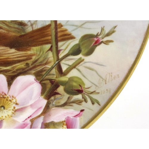 631 - A HAND PAINTED PLATE, J ALLEN, 1898