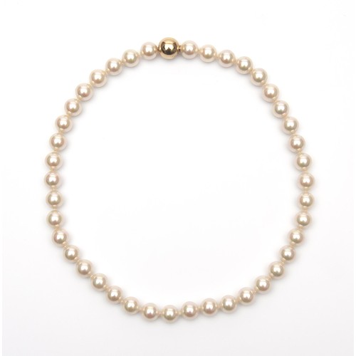 689 - A STRAND OF FRESHWATER CULTURED PEARLS