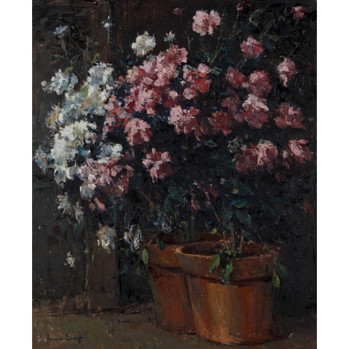 350 - Adriaan Boshoff (South African 1935 - 2007) AZALEAS