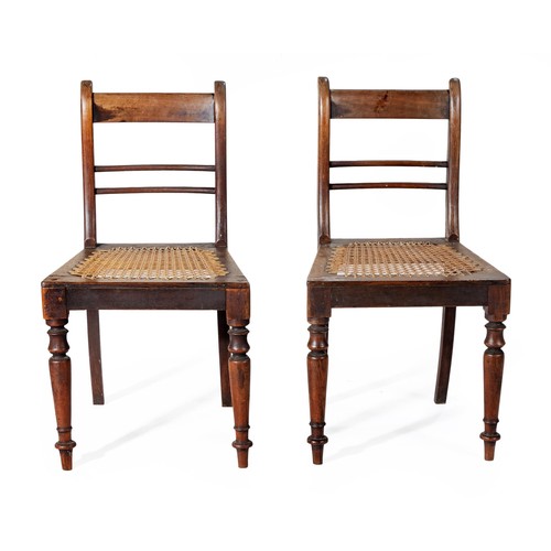 840 - A PAIR OF CAPE REGENCY STINKWOOD CHAIRS