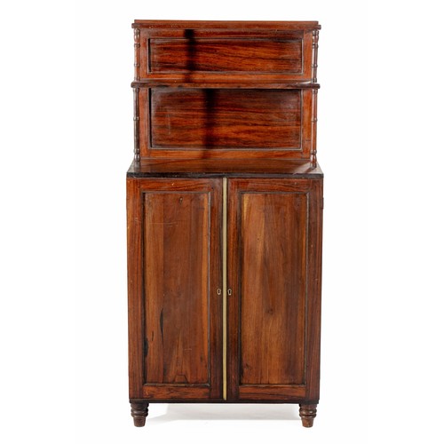 805 - A MAHOGANY SIDE CABINET, 19TH CENTURY