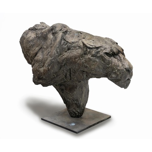 334 - Dylan Lewis (South African 1964 - )LIONESS BUST