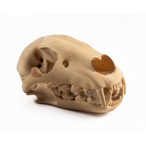 332 - Friday Jibu (Malawian 1974 - )LION SKULL