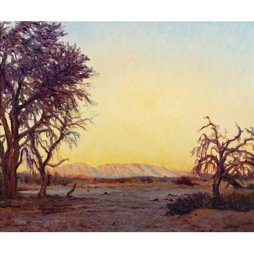 262 - Walter Meyer (South African 1965 - 2017)SOSSUSVLEI