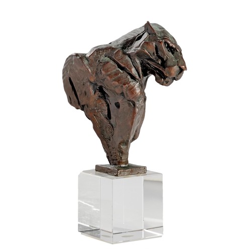 335 - Dylan Lewis (South African 1964 - ) LEOPARD BUST VIII MAQUETTE