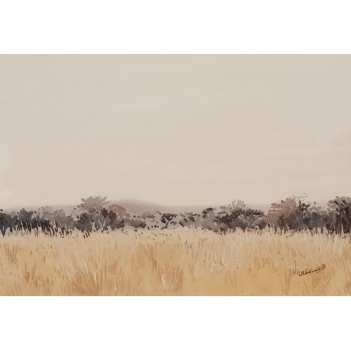 447 - Walter Westbrook (South African 1921 - 2015) NAMIBIA