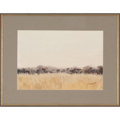 447 - Walter Westbrook (South African 1921 - 2015) NAMIBIA