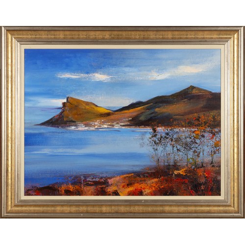 426 - Derric van Rensburg (South African 1952 - ) VIEW OF HOUT BAY