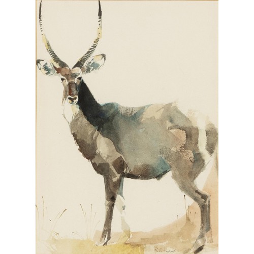 461 - Keith Eric Joubert (South African 1948 - 2013) WILDEBEEST; ANTELOPE; SABLE BUCK; DRINKING SABLE BUCK... 