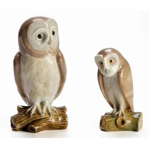 805 - TWO LLADRO OWLS