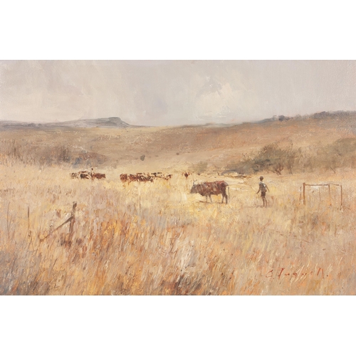 1334 - Christopher Tugwell (South African 1938 - 2021) CATTLE HERDER IN THE FIELD