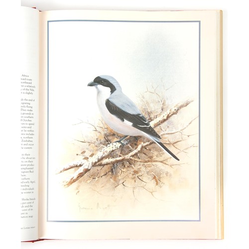 18 - SHRIKES OF SOUTHERN AFRICA by Tony Harris and Graeme Arnott