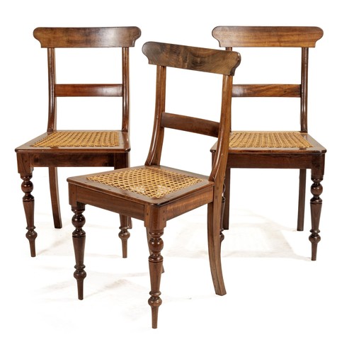 355 - THREE CAPE STINKWOOD CHAIRS, LATE 19TH/EARLY 20TH CENTURY