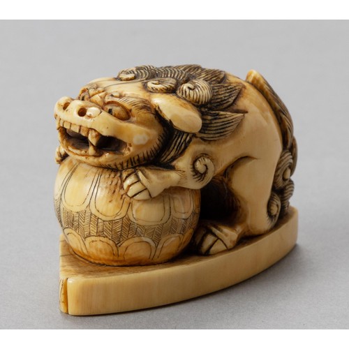 222 - A JAPANESE 'SHISHI WITH BALL' TUSK NETSUKE