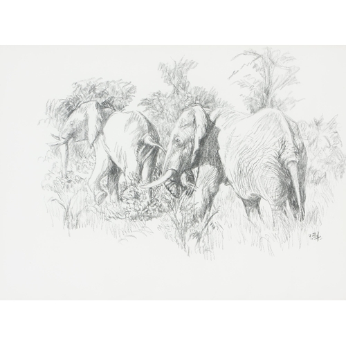 195 - Zakkie (Zacharias) Eloff (South African 1925 - 2004) TWO ELEPHANTS