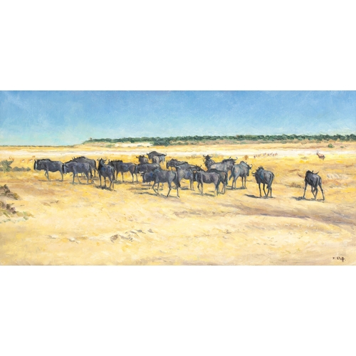 1310 - Zakkie (Zacharias) Eloff (South African 1925 - 2004) BLOUWILDEBEESTE