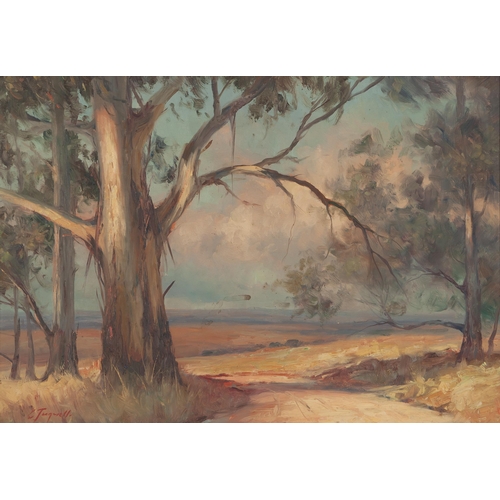 1347 - Christopher Tugwell (South African 1938 - 2021) FOREST OF BLUEGUMS