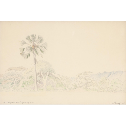 438 - Jacob Hendrik Pierneef (South African 1886 - 1957) MALALA PALM BY LEYDSDORP O.T