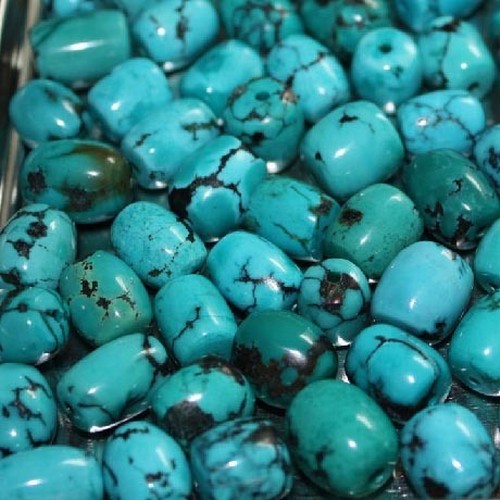 1090 - A MELEE OF TURQUOISE, 2.49 CARATS