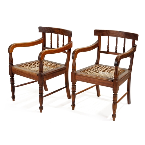 383 - A PAIR OF CAPE STINKWOOD ARMCHAIRS, MODERN