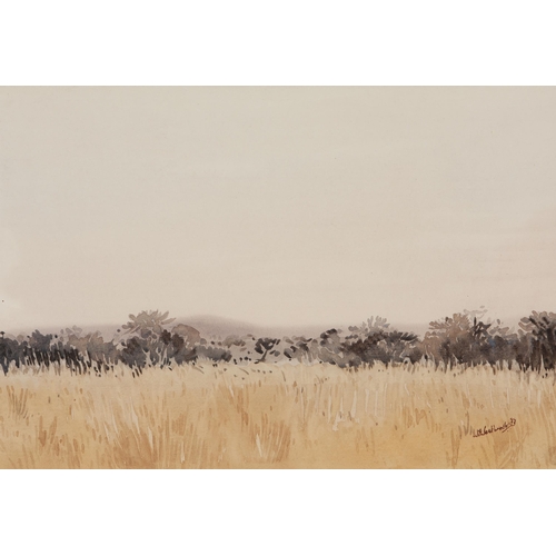 Walter Westbrook (South African 1921 - 2015) NAMIBIA