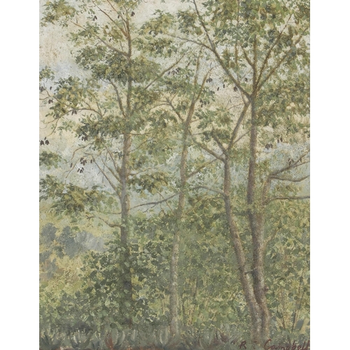 525 - R. Campbell (*** 20th Century) FOREST