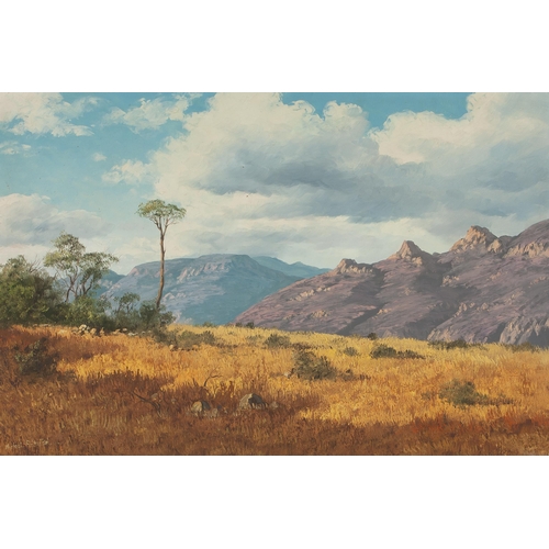 519 - Michael Albertyn (South African 1938 - ) MOUNTAINOUS VELDT LANDSCAPE