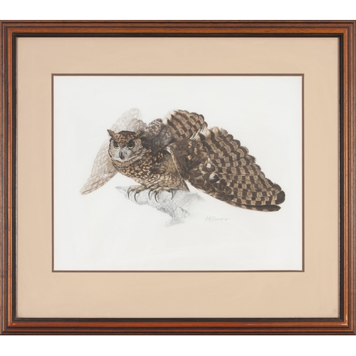 531 - Arthur Howard Barrett (South African 1916 - ****) GREAT HORNED OWL