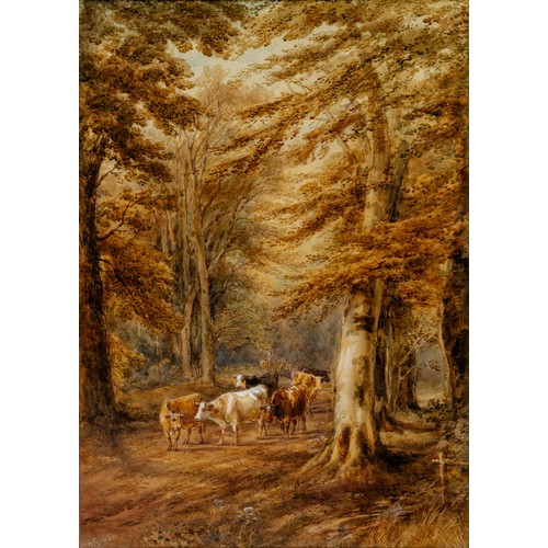 524 - Henry Earp Snr (British 1831 - 1914) COWS ON A FOREST PATH