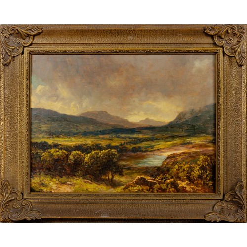 555 - Edward Roworth (South African 1880 - 1964) A VLEI NEAR NOORDHOEK, SHOWERY WEATHER