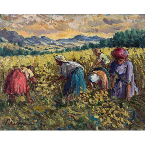 215 - Hennie (Hendrik Christiaan) Niemann Snr (South African 1941 - ) WOMEN HARVESTING