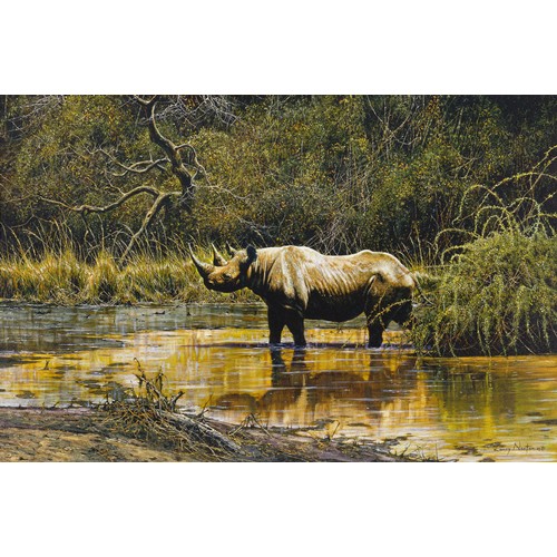 252 - Larry Norton (Zimbabwean 1963 - ) ZULULAND BLACK RHINO