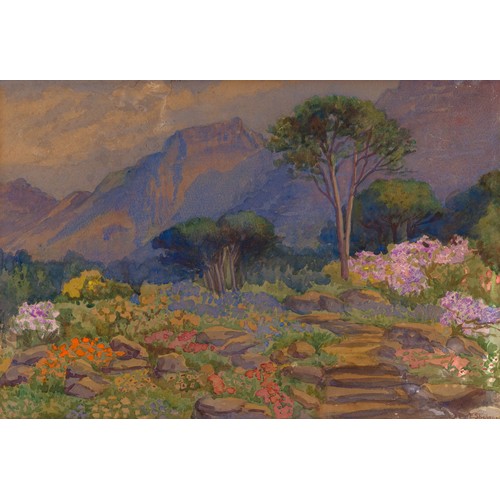 660 - Edith Frances Mary Struben (South African 1868 - 1936) BOTANICAL LANDSCAPE