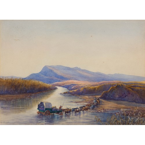 701 - Edith Frances Mary Struben (South African 1868 - 1936) HERD CROSSING RIVER