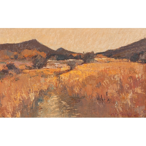 276 - Titta Fasciotti (South African 1927 – 1993) COLESBERG KAROO CAPE