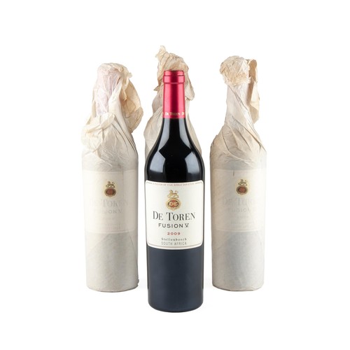 168 - 2009 De Toren Fusion V4 x Bottles