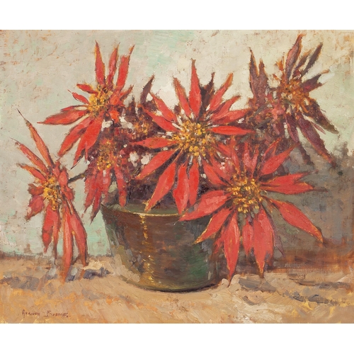 Adriaan Hendrik Boshoff (South African 1935 - 2007) POINSETTIAS