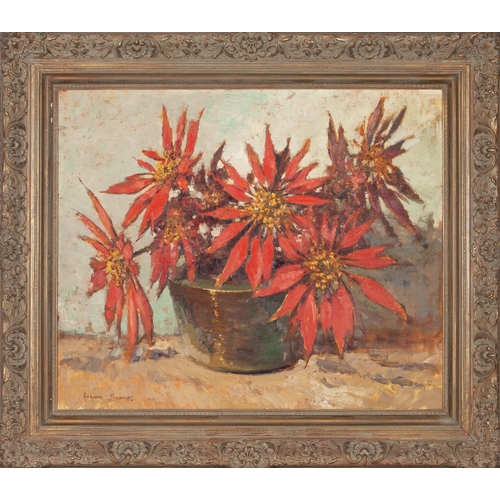 265 - Adriaan Hendrik Boshoff (South African 1935 - 2007) POINSETTIAS